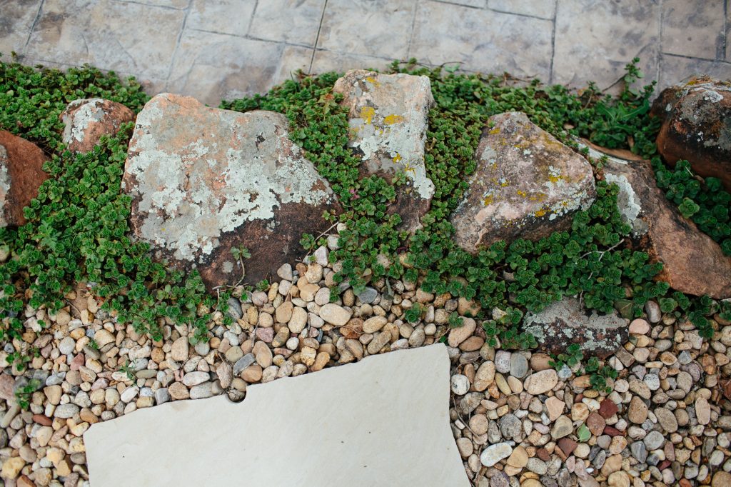 Hughesport159-3634118652-O